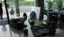 那雪，那狗，那人_900字