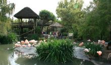 动物园游记_1200字