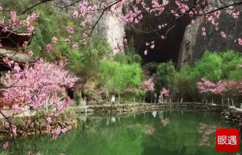 桃花春_1200字