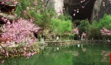 游桃花源_1200字