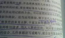 关于夏天的作文：夏天最棒的享受_600字