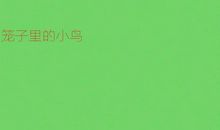 [PK赛]关于环保的作文：小鸟的哭泣_800字