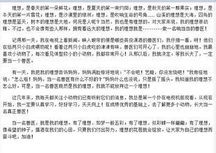 [PK赛]关于我理想的构想：对与错，每个人都有吗？ _450个字