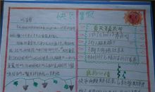 中学生暑假英语日记5则_3000字