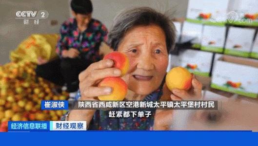 离群值小鹅_150个单词