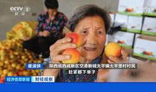 离群的小雁_150字