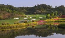 游安吉竹博园_550字