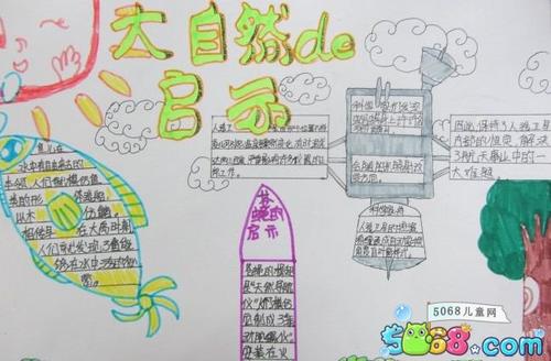 关于自然的构图：自然的智慧_800字