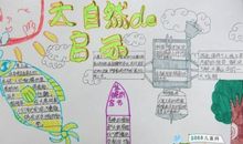 关于大自然的作文：大自然的智慧_800字