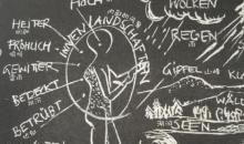 大自然的智慧_750字