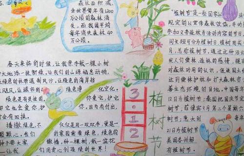 感受自然_800字