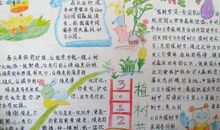 感悟大自然_800字