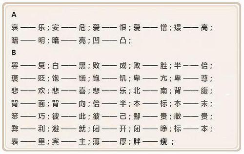 风中的玫瑰_1200字