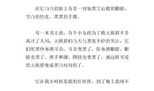 三年级状物作文：中华长生果_450字