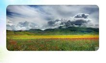 大自然的声音_650字