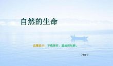 自然_750字