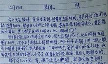 关于夏天的作文：最快乐的季节_500字