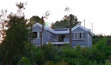 乡村的淡雅_400字