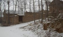 童年时的那场雪_800字