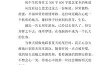 关于思念的作文：思念的味道_650字