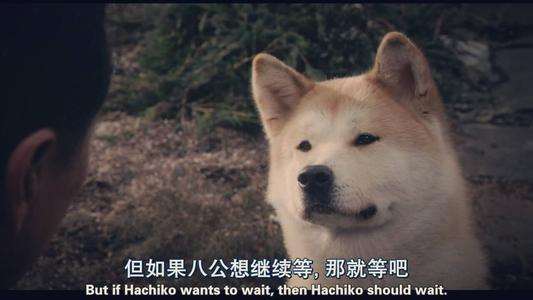 多谢您成长_650个字