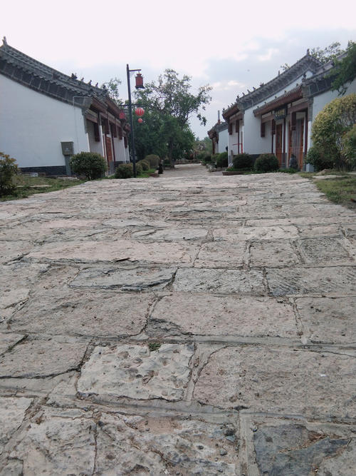 _900字左右的美