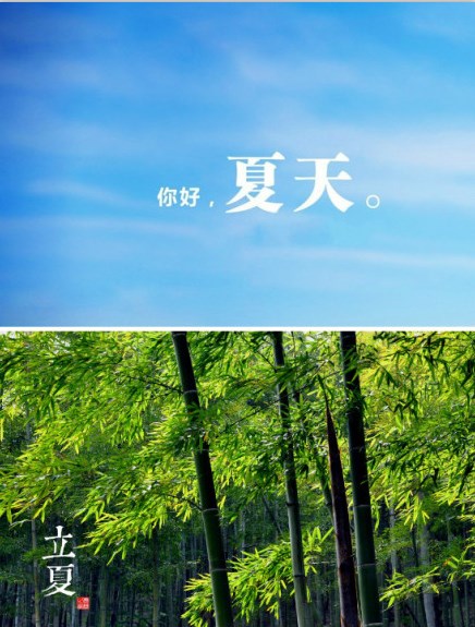 美丽的夏天_900字