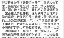 关于外貌的作文：隔壁老陈_400字