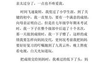 满分作文:那一次，我读懂了花落的声音_900字