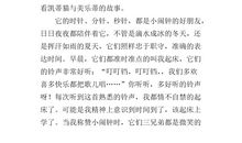 三年级状物作文：火鳞_400字