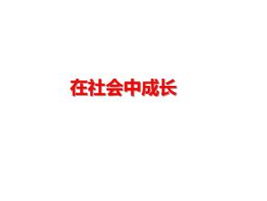 在社会中成长_800字