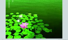 关于夏天的作文：夏天的雨_400字