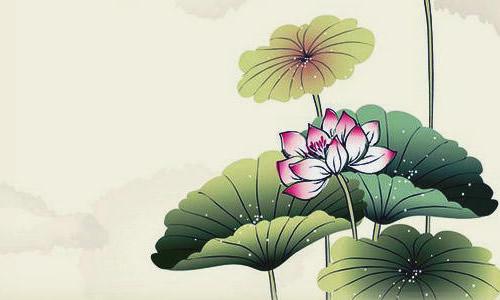 关于荷花的作文：荷花贡品_500字