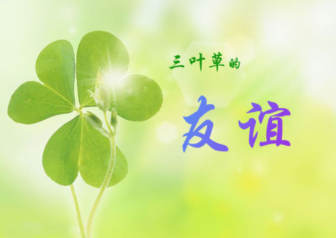友谊三叶草（第二章）_1500字
