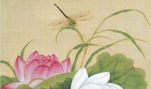 关于荷花的作文：荷花与腊梅_450字