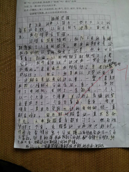 关于外观的构图：我的母亲500字