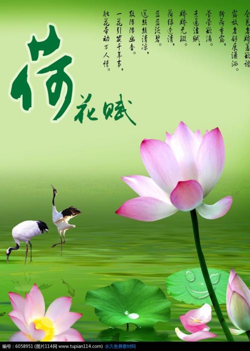 关于莲花的作文：我喜欢lotus_400个单词