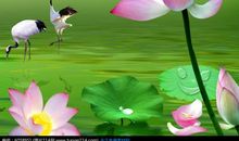 关于荷花的作文：我喜欢荷花_400字