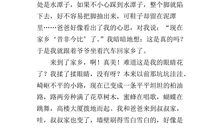 心中的家乡_700字