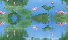 大自然的美丽_550字