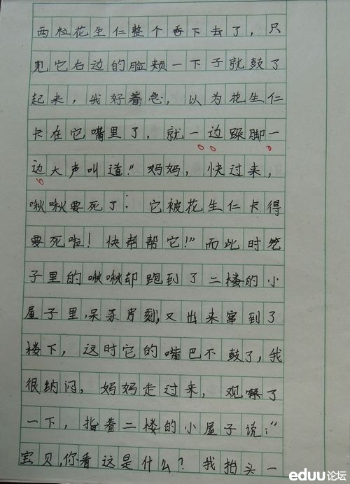 关于外观的成分：汽车维修大师，庄老师_500字