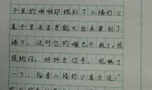 关于外貌的作文：修车大爷，庄老师_500字