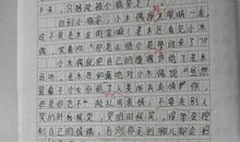 初二续写改写作文：《小木偶的故事》续编_750字