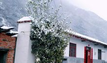 我爱美丽的紫荆山_250字