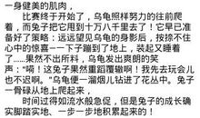 初二续写改写作文：新龟兔赛跑_900字