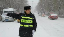 交通“小民警”_550字