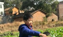 去乡下玩的一天_250字