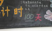 理想的风帆_800字
