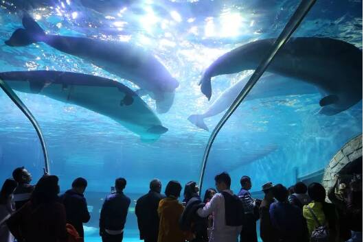 参观水族馆_350个单词