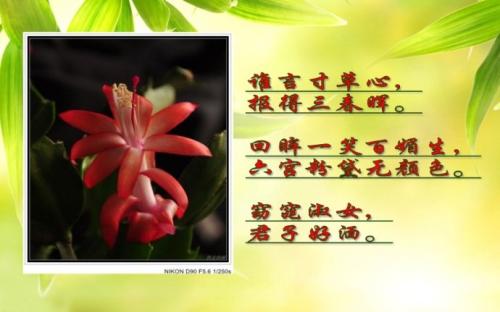 2018年名言赞美中国_300字